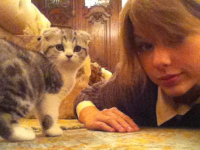 Wah, Taylor Swift 'Dilarang' Manggung oleh Kucing Peliharaannya!